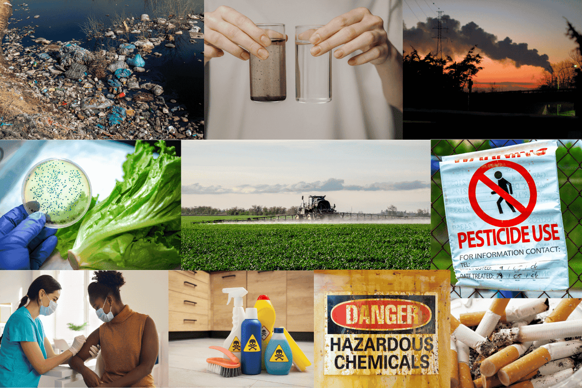 Sources of toxins