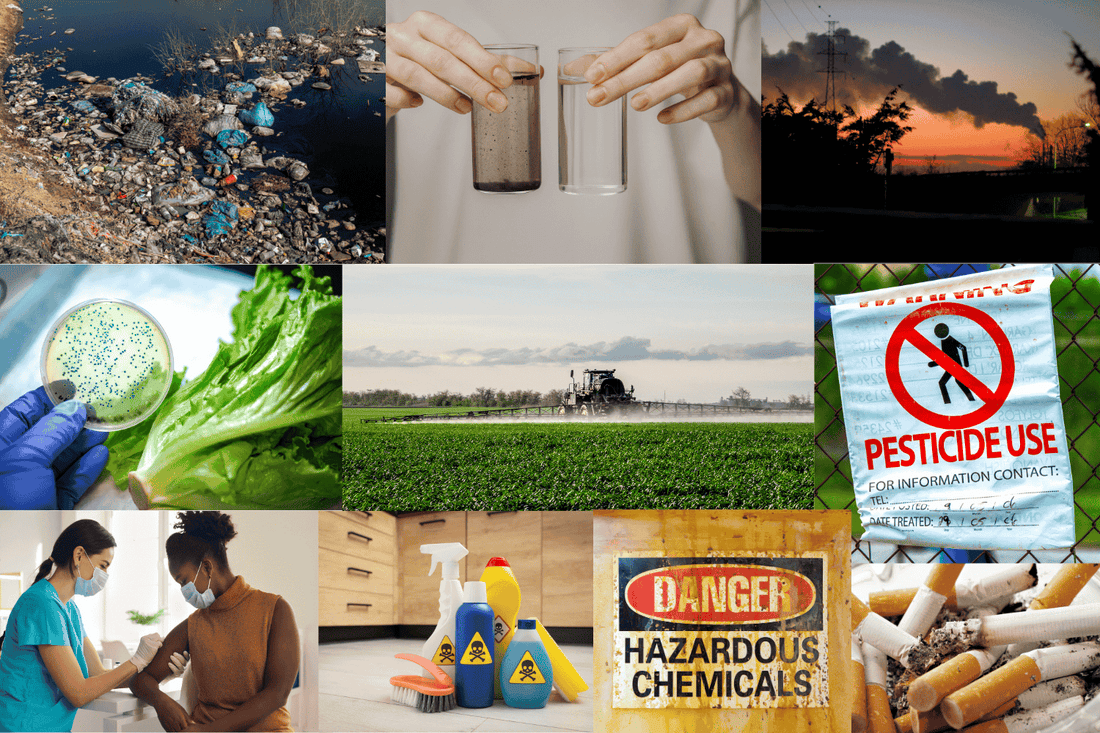 Sources of toxins