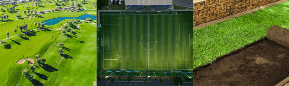 Green golf course, sports field and turn