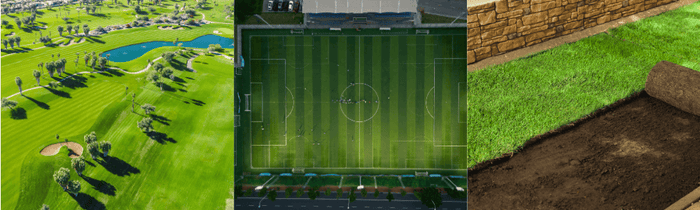 Green golf course, sports field and turn