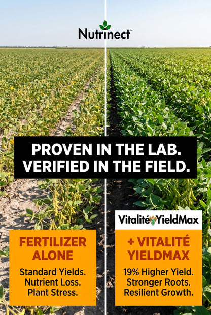Vitalité YieldMax Soil Conditioner 1kg